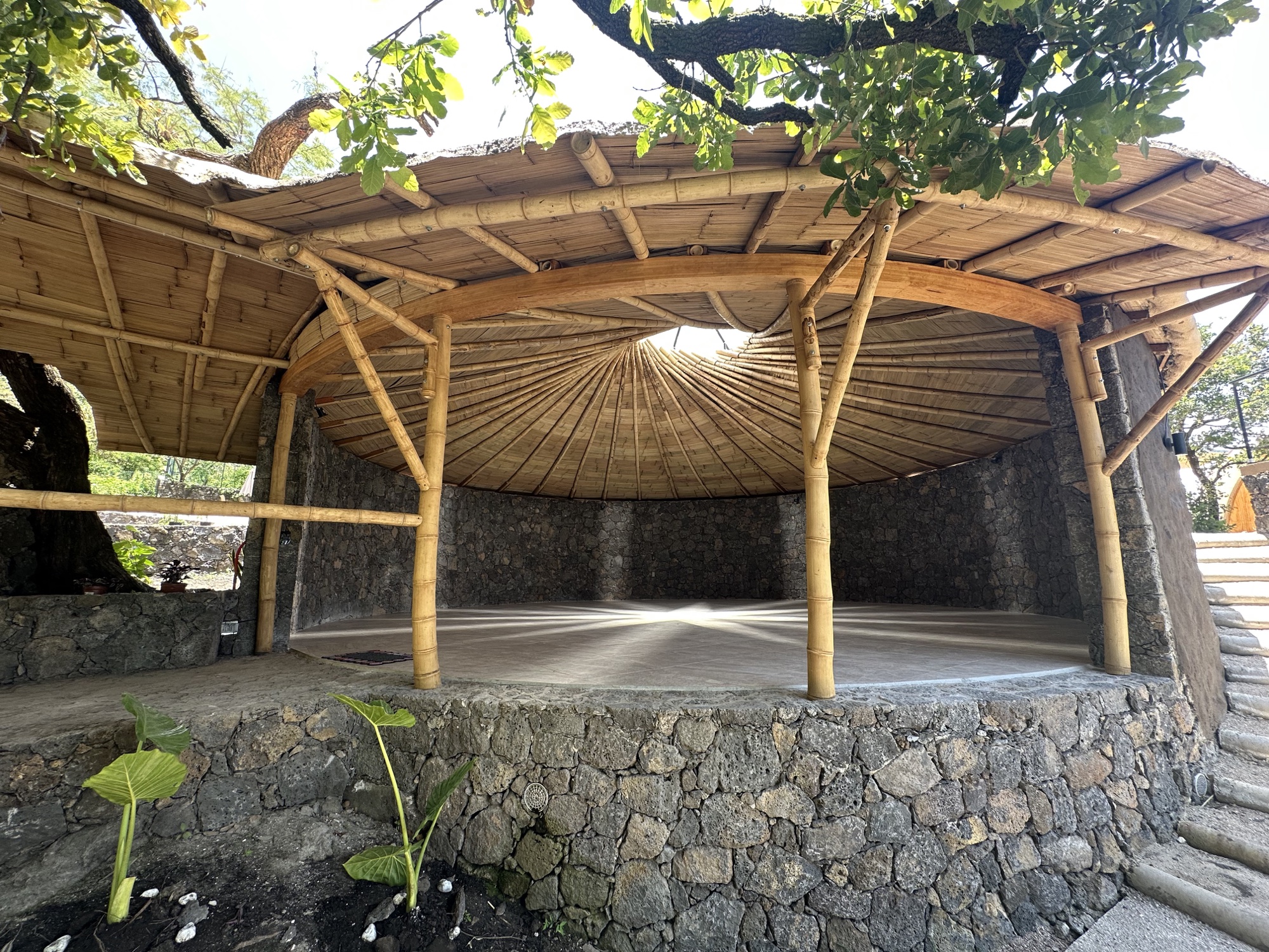 Templo Akasha construido en bambú y rodeado de naturaleza